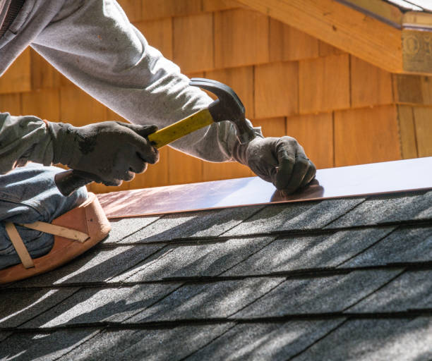 Best Commercial Roofing Services  in Brookings, SD